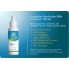 Limpador Auricular Para Cães E Gatos Spray 110ml Santo Bicho